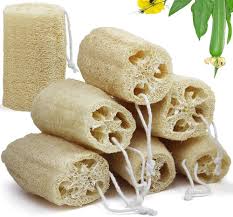 Image result for Luffa