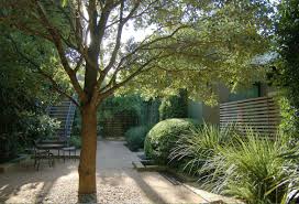 Hotel San Jose Big Red Sun Small City Garden City Garden Xeriscape