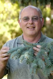 Researcher aims to prolong Christmas trees' lives