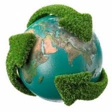 MEDIO AMBIENTE