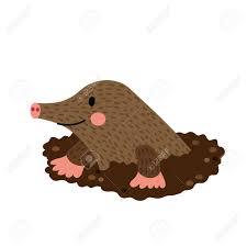 Download cartoon character mole images and photos. Mole Graben Aus Dem Dreck Tier Cartoon Figur Isoliert Auf Weissem Hintergrund Illustration Lizenzfrei Nutzbare Vektorgrafiken Clip Arts Illustrationen Image 66854195