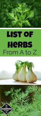 List Of Herbs From A To Z Gardening Channel
