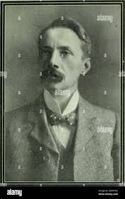 Swan size hi-res stock photography and images