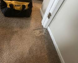 Get exclusive articles, recommendations, shopping tips, and sales alerts. Pet Damage Repair Premier Carpet Cleaning