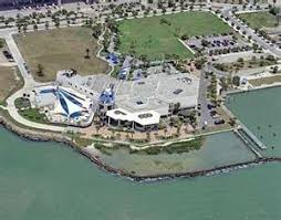 Texas State Aquarium Corpus Christi Neat Corpus Christi Texas Texas Places Texas Travel