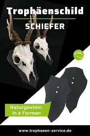Trophaenschild Aus Schiefer Schilder Rehbock Schlichte Eleganz