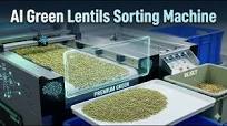 Green Lentils Sorting Machine | AI Optical Sorter for Pulses  Processing#GreenLentilsSortingMachine