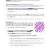 File type pdf explore learning gizmo answer key half life. Https Encrypted Tbn0 Gstatic Com Images Q Tbn And9gcrsptk2un3zpefldtj5l3dernwprfctjasurtyw1fu8stdafeuj Usqp Cau