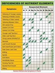 Chart Matching Leaf Appearance With Possible Nutrient