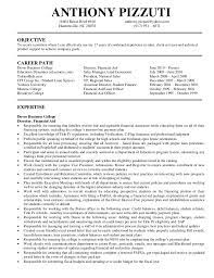 This position will serve as primary point of contact for the federal. Pizzuti Resume Detail Of Experience