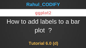 How To Add Labels To A Bar Plot Using Ggplot2 R Data Science Tutorial 6 0 D