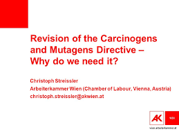 Die arbeiterkammer (ak) besteht aus zehn arbeiterkammern, einer in jedem bundesland und der bundesarbeiterkammer. Wien Arbeiterkammer At Revision Of The Carcinogens And Mutagens Directive Why Do We Need It Christoph Streissler Arbeiterkammer Wien Chamber Of Labour Ppt Download