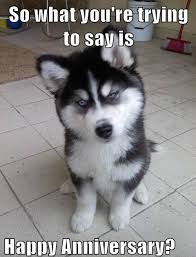 Happy work anniversary 4 years of awesomness!! Happy Anniversary Funny Meme To Start Their Day With Smiles