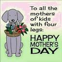 Happy Mother's Day to all you... - Witwoo Dog Groomers | Facebook