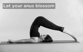 37 Ideas Yoga Teacher Funny Downward Dog Yoga Quotes Funny Yoga Funny Yoga Meme