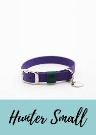 Hunter Small Dog Collar