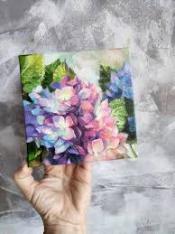 Pin On Hydrangeas