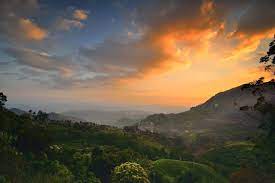 See 331 traveler reviews, 154 candid photos, and great deals for hotel view point, ranked #40 of 250 hotels in pokhara and rated 4.5 of 5 at tripadvisor. Pothamedu Viewpoint Munnar Timings Entry Fees Location Facts