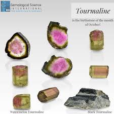 Available In Almost Every Color Of The Rainbow Tourmaline Is Not Just A Mineral But Is A Mineral Fami Watermelon Tourmaline Tourmaline Crystal Gemstone Colors