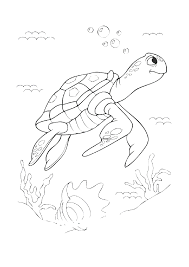Kaplumbaga Boyama Sayfasi Okuloncesitr Preschool Hayvan Boyama Sayfalari Boyama Sayfalari Kaplumbaga