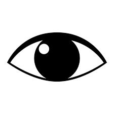 Image result for human eye clip art