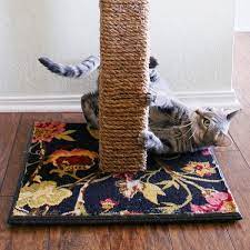Pin On Cat Projects