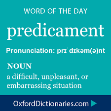 Predicament Noun A Difficult Unpleasant Or Embarrassing Situation Word Of The Day For 23 December 2014 Wotd Wordof Words Weird Words Idioms And Phrases