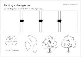 Pin On Plants
