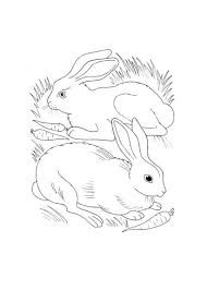 Weitere ideen zu meerschweinchen, niedliche meerschweinchen, tiere. Ausmalbilder Fur Kinder Hase 9 Ausmalbilder Ausmalbilder Kinder Ausmalen
