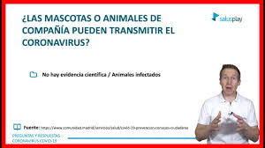 Cual Es El Tiempo De Sobrevive Del Coronavirus En Superficies Youtube