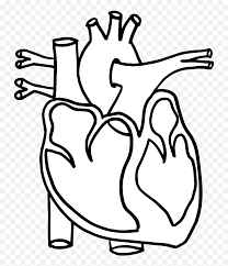 Did you knowthe human heart is made up of two different kinds of blood vessels. Human Heart Coloring Pages Printable Human Body Outline Human Heart Worksheets Emoji Emoji Color Pages Free Transparent Emoji Emojipng Com