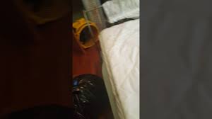 Camper rentalscamper salesrecreational vehicles campersrv dealersrv partsrv sales. Pelham Al Bed Bug Control Al Exterminator Bad Bugs