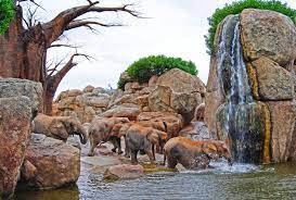 sabana africana bioparc valencia valencia spain by rain forest diseno sl zoo architecture zoo design zoo inspiration