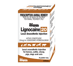 Ilium Lignocaine 20 100ml Troy Animal Healthcare Australia