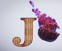 The following explanations and exercises will help you learn both the spelling and pronunciation of the 26 different letters. Animals That Begin With J In English And Spanish Discover Them