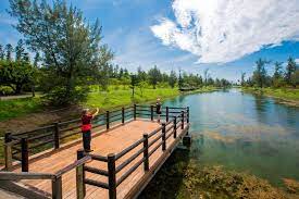 The site owner hides the web page description. è‡ºæ±æ£®æž—å…¬åœ' å°æ±è§€å…‰æ—…éŠç¶²