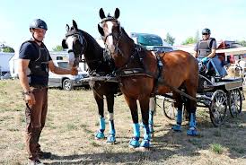 Ein- und Zweispänner am Start bei Turnier