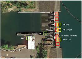 Evaluation of Foster Dam and Green Peter Dam Spillway Operations for  Juvenile Fish