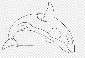 Today, hadley and i are learning how to draw a killer whale or an orca! Dolphin Line Art Drawing Killer Whale Whales And Kids Marine Mammal White Png Pngegg
