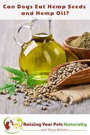 Can Dogs Eat Hemp Seeds And Hemp Oil Hemp Seeds Can Dogs Eat Raw Dog Food Recipes