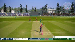 Very confused about the stand up currently! Cricket 19