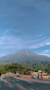 Ya, karena tembakau sudah menjadi simbol khas flora resmi disini. Pin Di Ulphotography