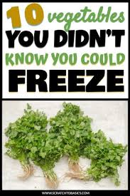 10 Surprising Vegetables You Can Freeze For Later In 2020 Freezing Vegetables Vegetable Chart Freezing Vegetables Chart