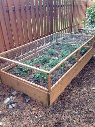 Adjust for square by taking diagonal measurements and making sure the two measurements match. How To Build A Strawberry Cage Diy Projects For Everyone Vegetable Garden For Beginners Vegetable Garden Design Raised Vegetable Gardens