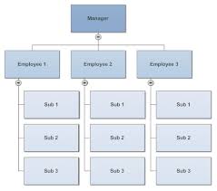 How To Create An Organizational Chart