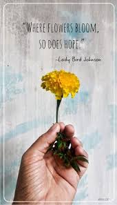 Quotations list about tree planting, trees and orchard captions for instagram citing warren buffett, chinese proverbs and english proverbs. Where Flowers Bloom So Does Hope Flower Quote Bloom Caption For Flowers Flower Quotes Bloom Quotes