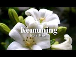 Kemuning Yuni Shara Lyrics Youtube In 2020 Lyrics Youtube