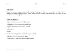 Here we answer haldane's question in an effort to improve the public understanding of human biological. Human Pedigree Worksheets Teaching Resources Tpt