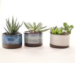 Set Of Three Ceramic Planters For Succulents Pottery Plant Pots Ceramic Planters Handmade Ceramic Planters