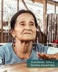 En Cayambe abrimos las puertas de nuestra planta para, revelando cómo la  innovación garantizan la más alta calidad en cada paso. 1: En las bodegas, @ danilo.valencia.52 y @trust_n_crust @travacao evalúan los granos